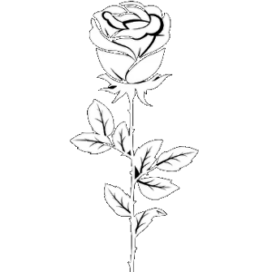 Tattoo Rose style 1
