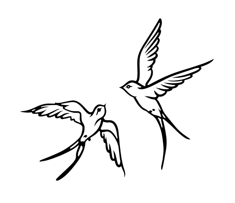 Tattoo Oiseaux couple