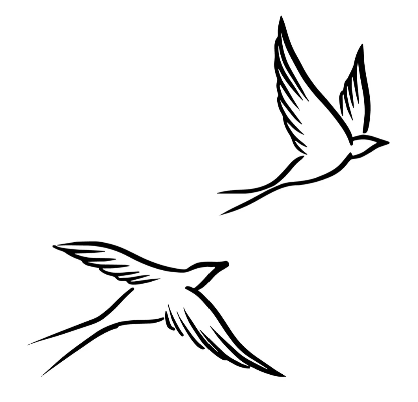 Tattoo Oiseaux en vol